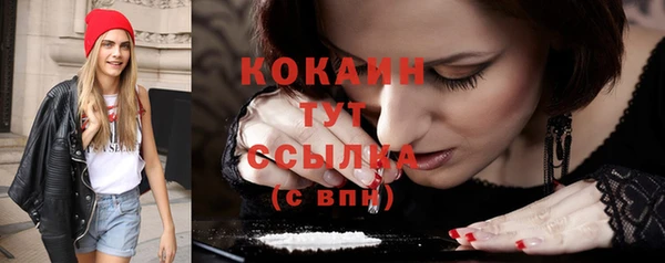 дживик Баксан