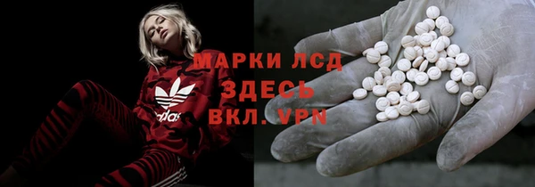 дживик Баксан