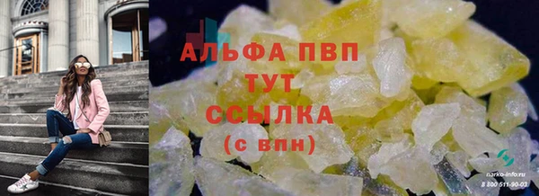 дживик Баксан